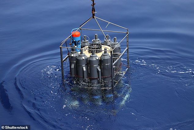 In the image, a CTD (conductivity, temperature and depth) profiler.  This device consists of a set of probes attached to a circular metal frame, which is lowered through the water using a cable (file photo)
