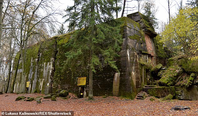 Chilling images show the reinforced bunker overrun by foliage and moss, but its imposing structure still remains in place.