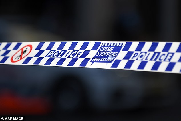 Police are investigating sexual assault allegations involving a Queensland politician following an incident outside a pub.