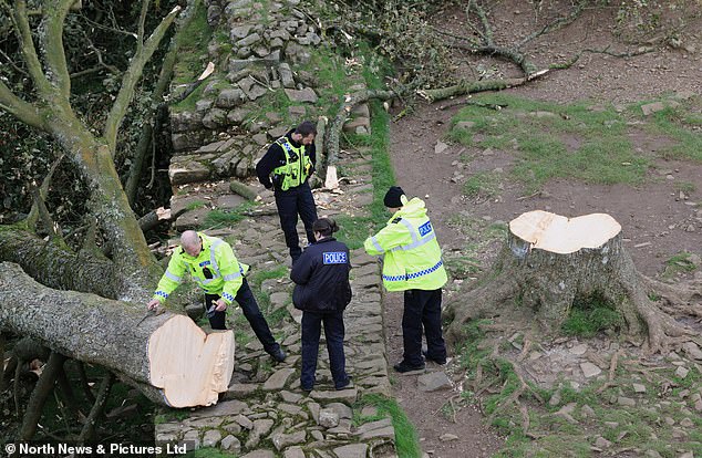 Northumbria Police officers arrive at Sycamore Gap tree site to investigate