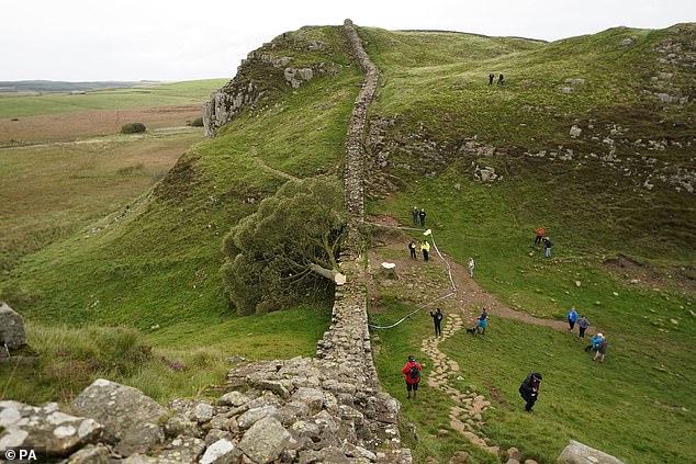 Walkers stop to look at the tree next to Hadrian's Wall in Northumberland after it was felled in September last year.
