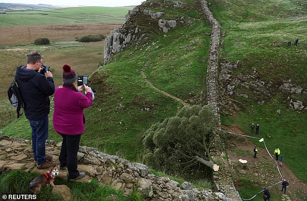People look at the tree at Sycamore Gap next to Hadrian's Wall in Northumberland