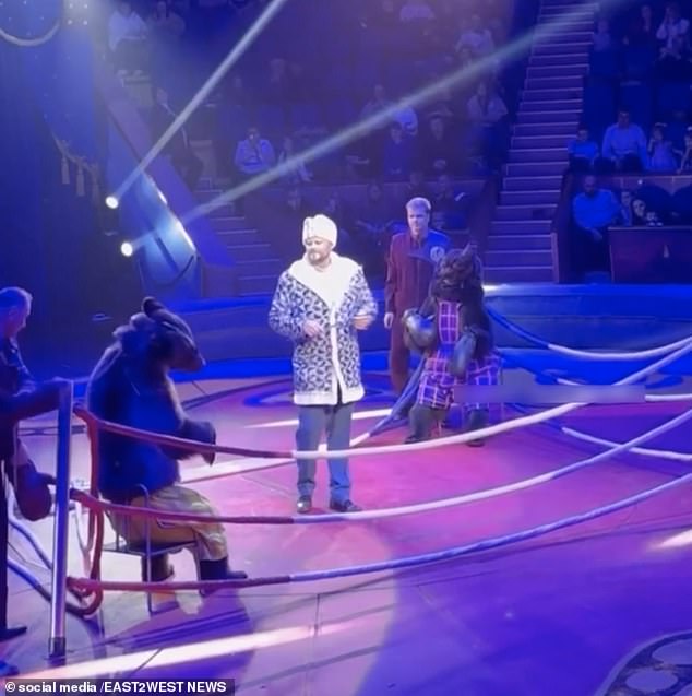 The video showed the animals being dragged by a handler to the corners of the boxing ring with a rope before beginning their next round of righting.