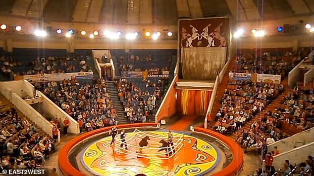 Another video of the cruel fight shows the animals fighting under the bright lights of the circus in front of a large audience.
