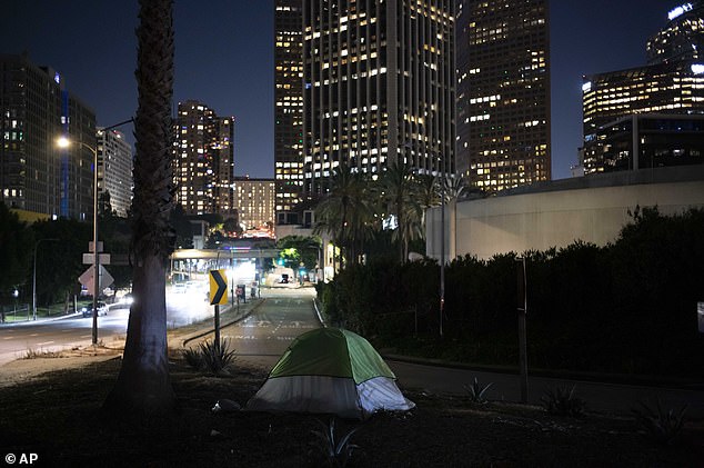 Los Angeles is currently home to more than 46,000 homeless people, a 10 percent increase from the previous year, according to the Los Angeles Homeless Services Authority.