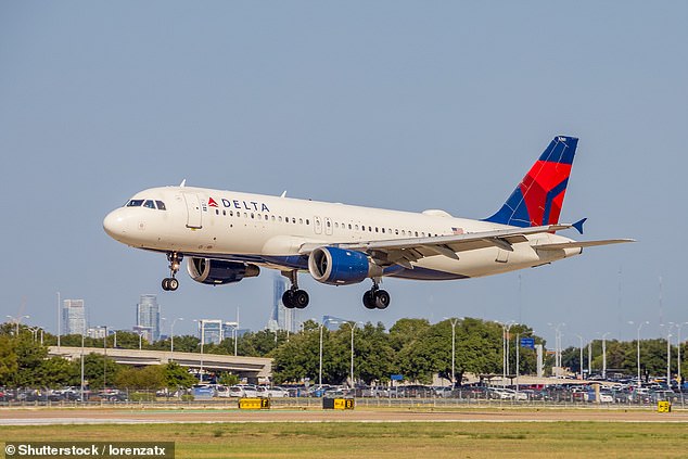 The author, Dr. Angela B. Peery, sparked a furious backlash after bragging on social media that she had reported Delta flight attendants to customer service for using their personal cell phones mid-flight and that He had received airline miles as a reward (file image).