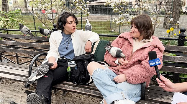 Two students feeding pigeons in Union Square, Manhattan, Amanda and Tamari, told DailyMail.com they were only mildly worried about bird flu as the pigeons scampered over them.