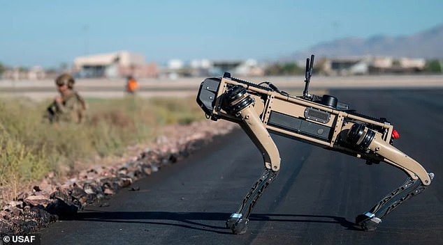 Pentagon's four-legged robot dogs may offer insight into what killing machines will look like