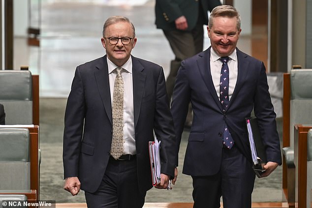 Energy Minister Chris Bowen has played down a private flight 'scandal' after he chose to fly alone for a climate announcement rather than fly with Anthony Albanese (both pictured).
