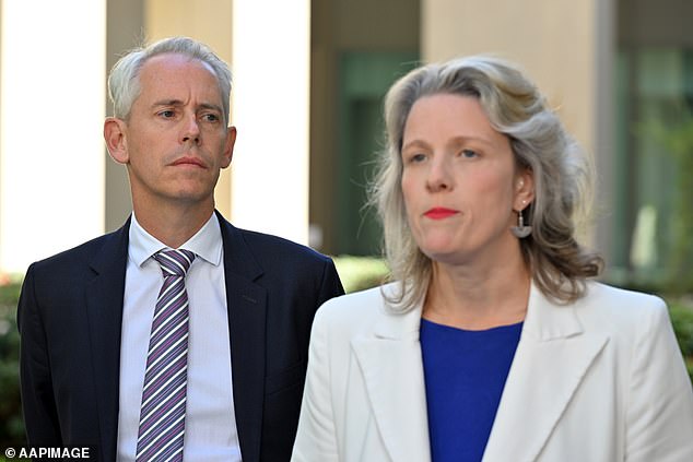 Immigration Minister Andrew Giles and Home Affairs Minister Clare O'Neil have faced significant scrutiny since attempting to push through the bill.