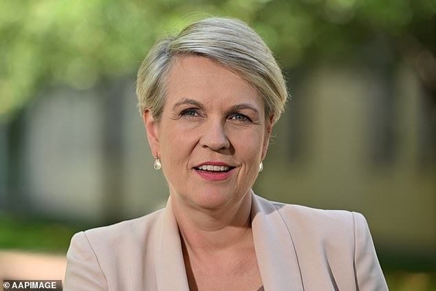 Environment and Water Minister Tanya Plibersek (pictured) was the top spending minister, earning a total of $390,495 during the quarter.