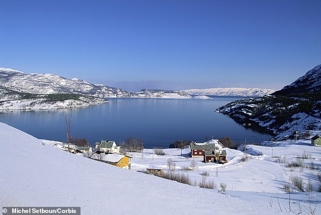 The mayor of the remote town of Vadso in Finnmark county, in the Arctic Circle, sent the proposal to the European Commission to 'offer people the opportunity to enjoy more quality time' with their families, Politico reports ( archive image of houses in Finnmark county)
