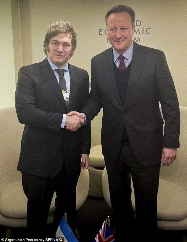 President Javier Milei met UK Foreign Secretary Lord Cameron at the World Economic Forum in Davos in January.