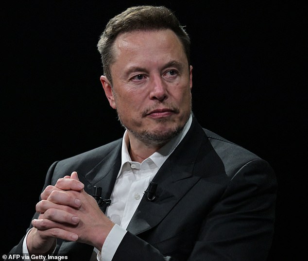 Elon Musk (pictured) slammed independent senator Jacqui Lambie after she deleted her X account and urged other Australian politicians to do the same.