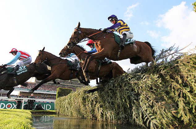 Saturday afternoon's Grand National is the star event of the national hunting season.