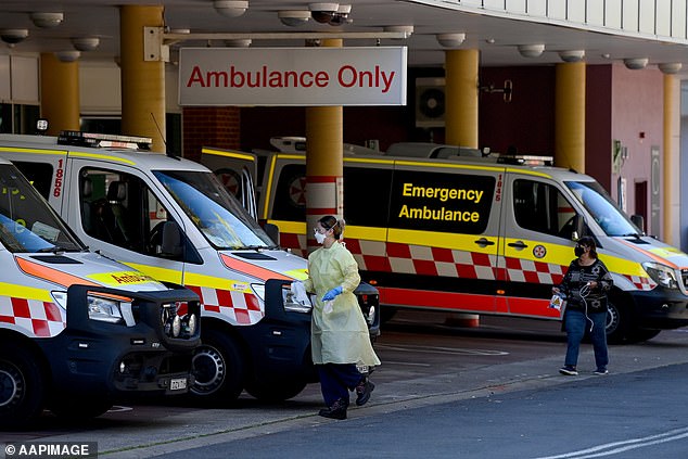 A South Australian inquest is investigating the deaths of three people who suffered long ambulance delays to be picked up and then waiting to be admitted to hospitals (file image)