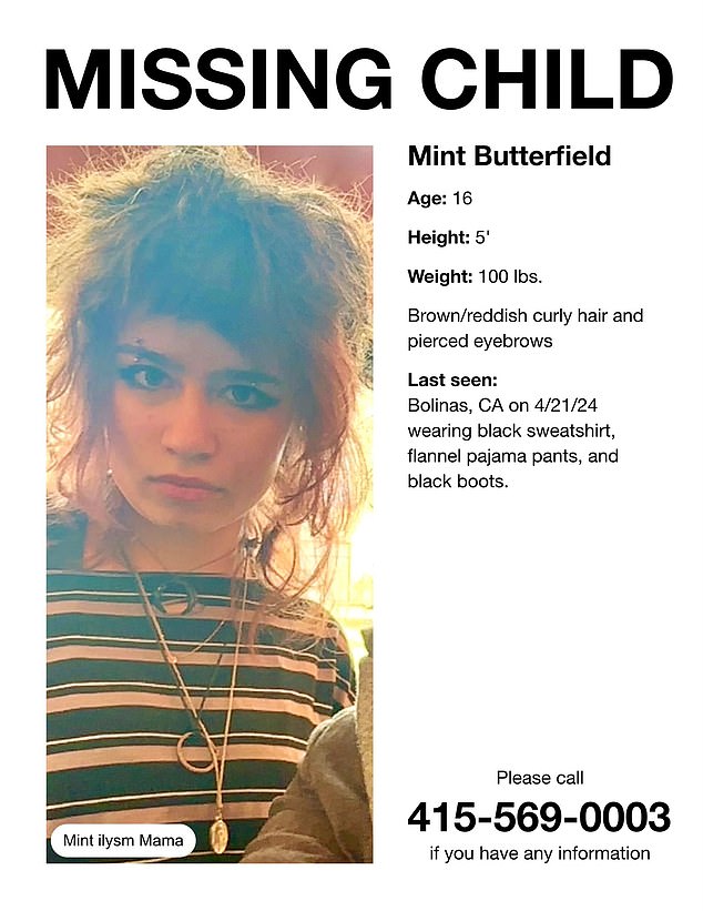 Mint Butterfield, the 16-year-old daughter of billionaire technology CEO Stewart Butterfield, has disappeared