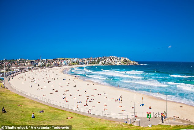 Bondi Beach stabbing Police rush to famous Sydney beach
