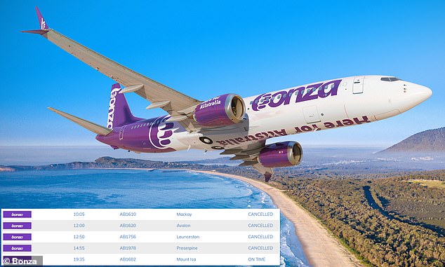 Bonza, Australia's new low-cost airline, has unexpectedly canceled flights, amid talks about the company's future viability.