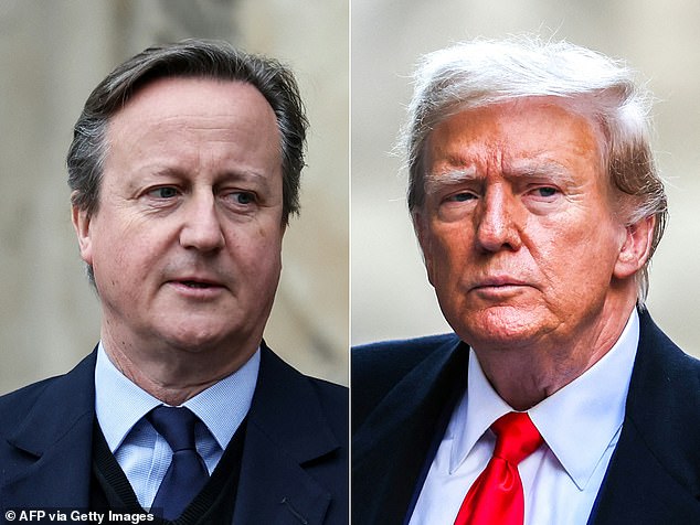 Donald Trump and British Foreign Secretary David Cameron discussed Ukraine, the elections on both sides of the Atlantic and their shared admiration for Queen Elizabeth II during a dinner at Mar-a-Lago on Monday night, according to the Trump campaign.