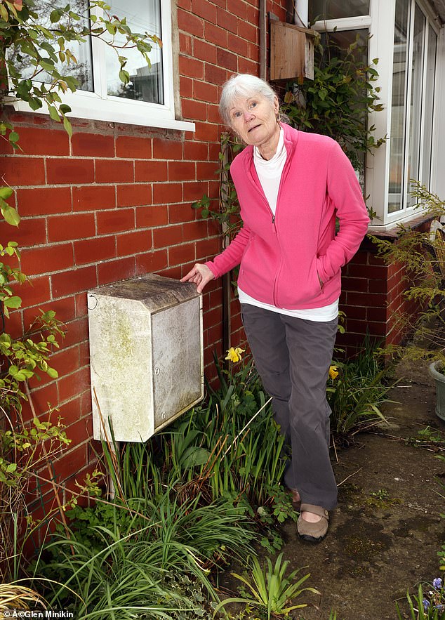 Carole Winn is one of dozens of readers who say they have been worse off with a smart meter than with a traditional one.
