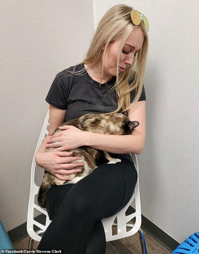 Carrie Clark (pictured) was reunited with her calico cat Galena after she disappeared from the family's Salt Lake City home on April 10.