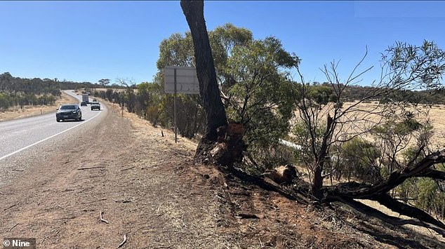The three brothers, aged 19, 21 and nine, and their 45-year-old friend, died in a car crash in Clackline, about 80 kilometers north-east of Perth, on Friday morning when their vehicle left the Great Eastern.  Highway and hit a tree.