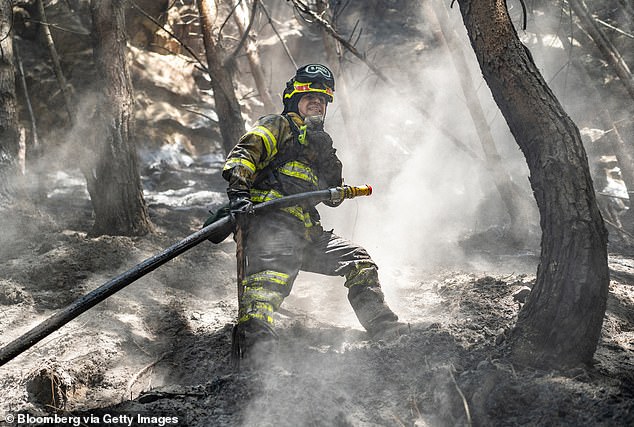 A firefighter sprays water during a forest fire in El Cable Hill, near Bogotá, Colombia, on January 27.  The El Niño weather pattern has been blamed for the current forest fires and drought.