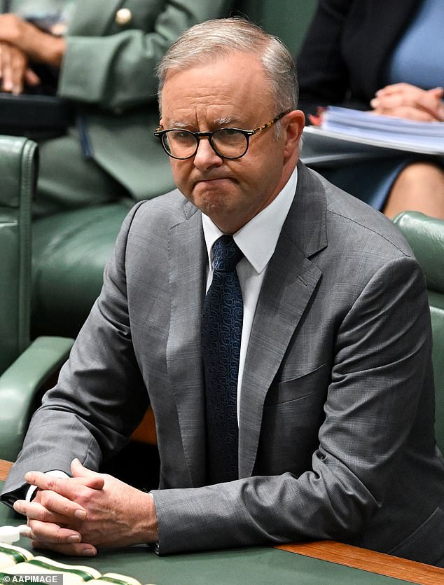 Could this be why Anthony Albaneses government is dropping in