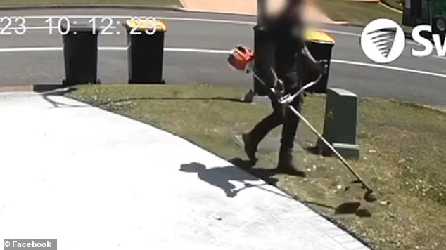 Disturbing footage shows the lawn maintenance worker approaching the plover that was relaxing in the front garden of a home in Beresford, in the Hunter Valley, New South Wales.