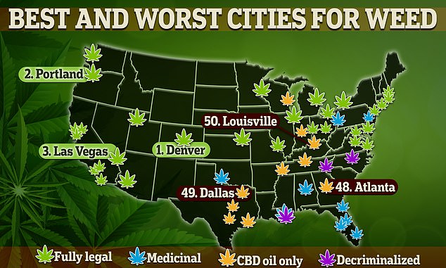 Daily Mail map reveals where marijuana dispensaries are most plentiful