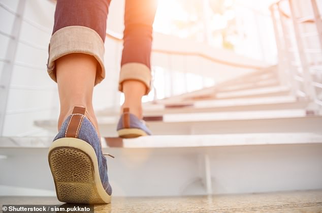 Climbing stairs could reduce the risk of cardiovascular diseases, including heart attacks, heart failure and stroke.
