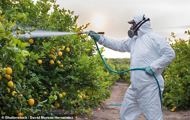 Pesticides are sprayed on produce to prevent animals from eating them, but it has been linked to adverse health effects.