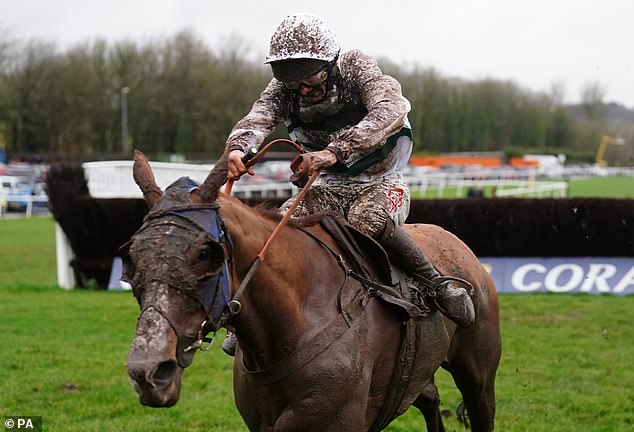 Nassalam took a spectacular victory in the Welsh Grand National in December.