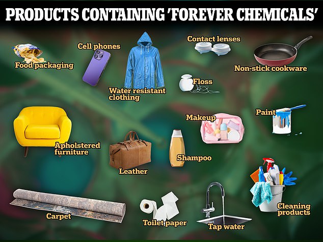 Forever chemicals, also called PFAS, are found in everyday products like makeup, furniture, and nonstick cookware that can end up in soil and drinking water.