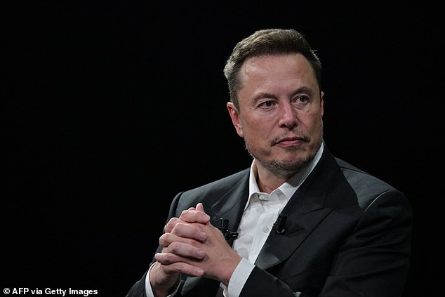 Elon Musk harshly criticized independent senator Jacqui Lambie, calling her a 