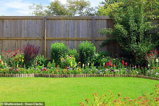 A pretty, colorful border of flowers and bushes surrounded by a fence and green grass (stock image)