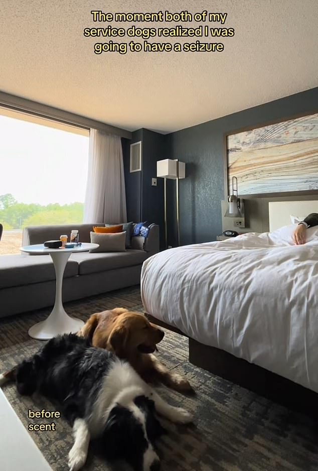 In a now-viral video shared on TikTok, American mother-of-one Jaime Simpson is seen lying in bed while her two service dogs, Australian shepherd Echo and golden retriever Everest, relax on the floor.