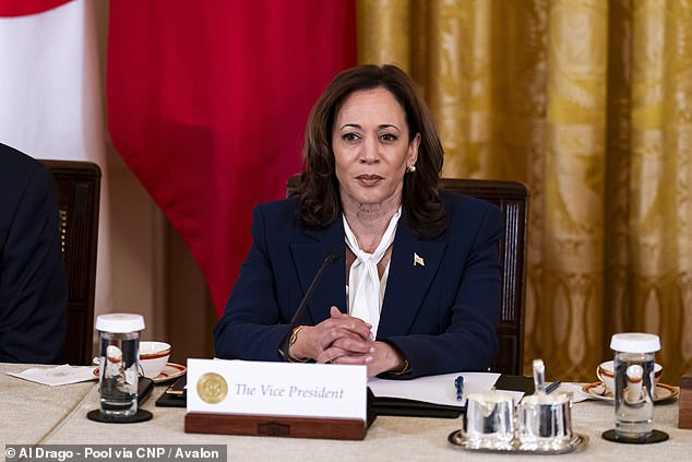 Herczeg, an armed Secret Service officer assigned to Vice President Kamala Harris, was removed from duty after she got into a physical fight with other agents on Monday.