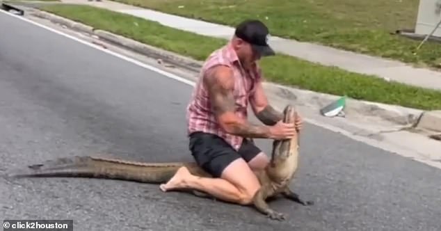 Mike Draggich, 34, used his bare hands to subdue an angry alligator on Jacksonville's north side.