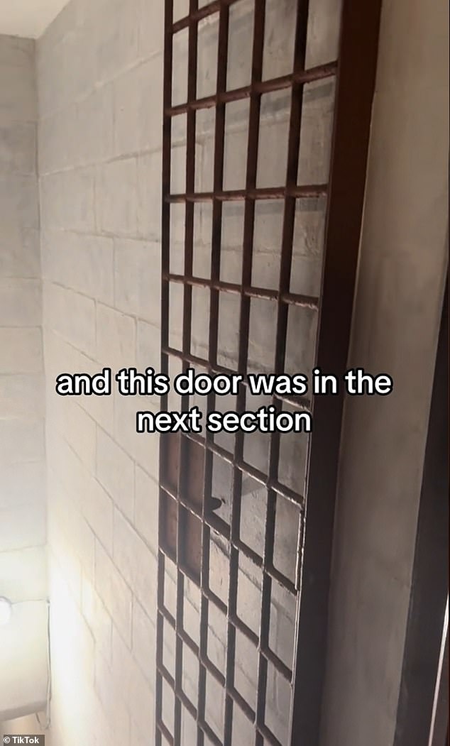 Viewers can see a grid-like iron door just before a staircase leading to the 'dungeon'.