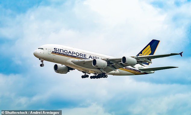 Among the Singapore Airlines fleet, the Airbus A380 is a symbol of extravagance, but a 'Suites' seat on this airborne palace can cost up to $30,000 per flight (file image)