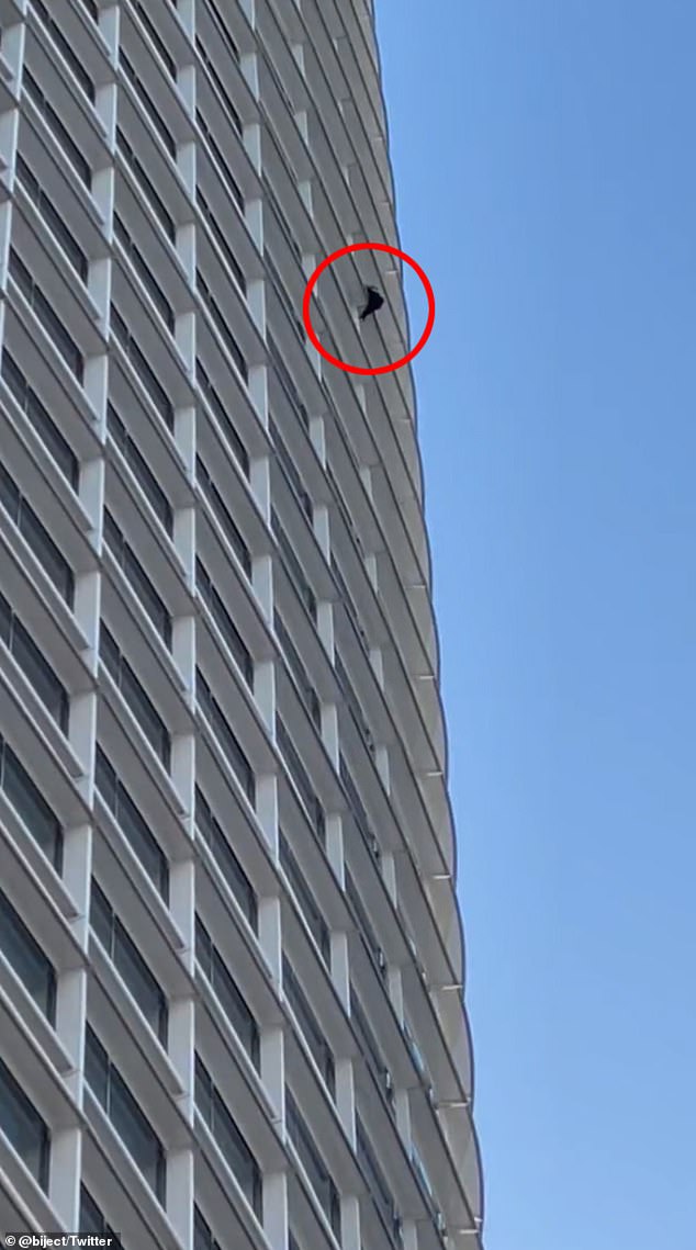 The teens were filming their social media stunt, as was 22-year-old Madison DesChamps when she climbed the entire Salesforce tower.