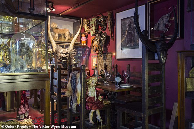 The Viktor Wynd Museum houses an eccentric collection of objects obtained by Viktor Wynd.  In the photo, “the devil’s table” cluttered with unusual objects.  In the window behind, a lamb with two heads is represented