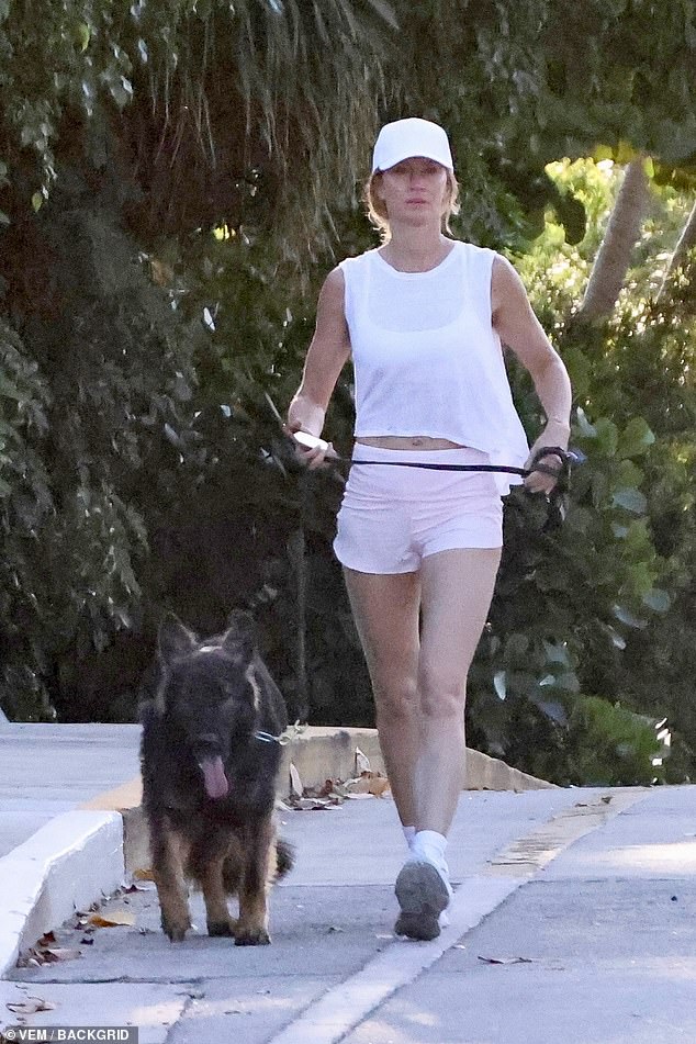 Gisele Bundchen showed off her toned midriff while wearing a sheer top while out and about in Miami Beach, Florida, with her dog on Wednesday.