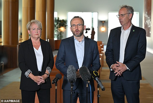 Senator Barbara Pocock (left, with Greens leader Adam Bandt) was relentless in her search for answers about the payment she said 