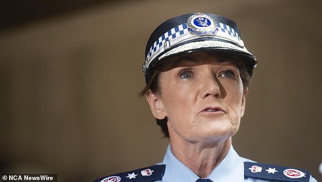 The 16-year-old is expected to appear in court Friday while in hospital custody after being charged with committing a terrorist act, Police Commissioner Karen Webb said.