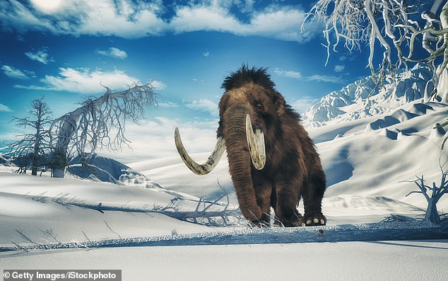 Scientists believe they are just a few years away from resurrecting extinct species like the mammoth