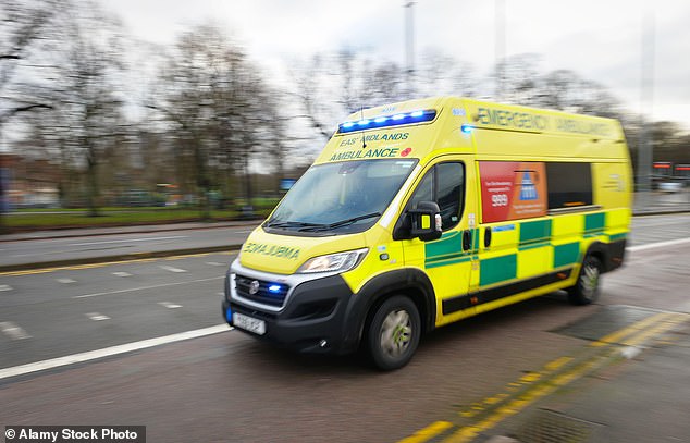 Teams warn patients are being forced to wait too long for emergency care as trusts battle crippling staff and vehicle shortages.  Stock