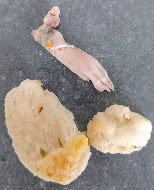 A mother who discovered her young son chewing on a rat's leg (pictured) was told the unpleasant find probably came from her own home, not the store-bought garlic bread she initially suspected.